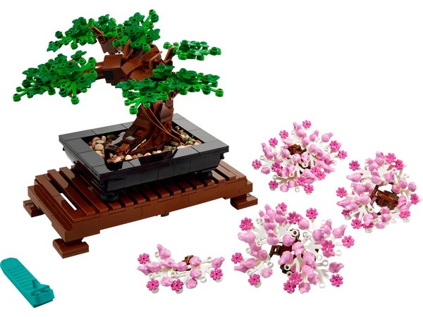 10281 Bonsai Tree