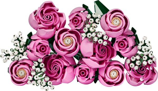 10374 s Rosa Rosenstrauß