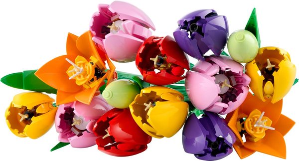11501 s Tulpenstrauß
