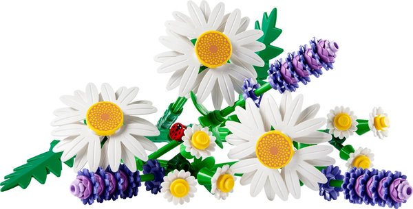 11508 s Gänseblümchen