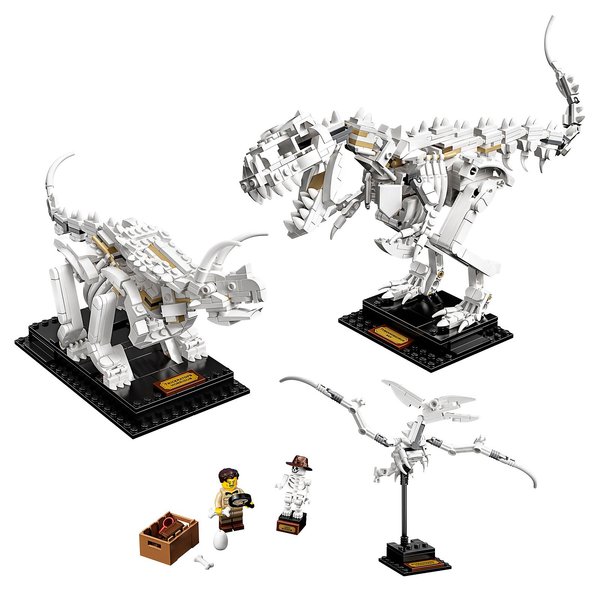21320 Dinosaur Fossils