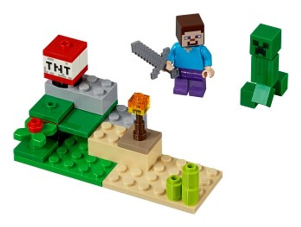 30393 Steve and Creeper