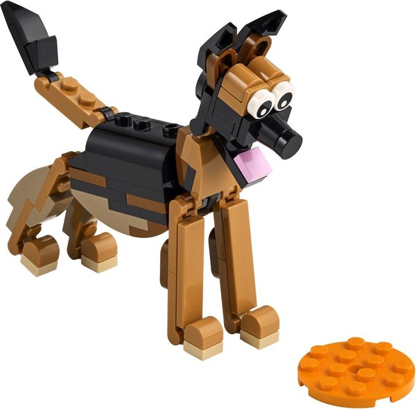 30578 German Shepherd