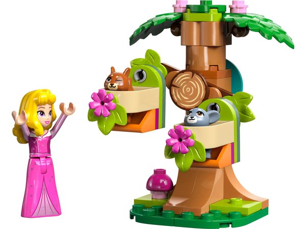 30671 Aurora's Forest Playground