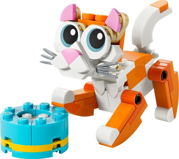 30714 Orange Katze