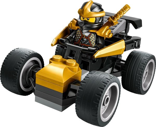 30723 Ninja Coles Flitzer