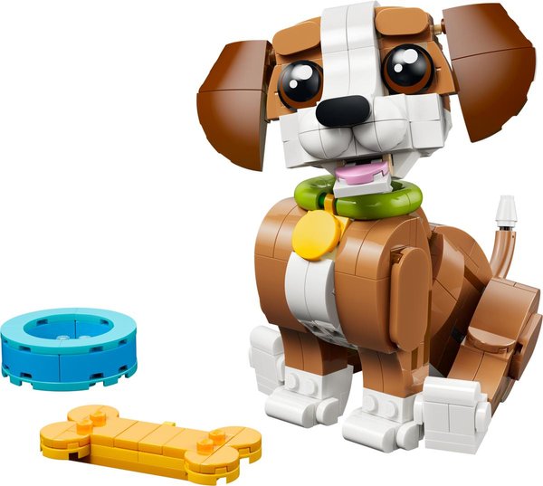 31382 Niedliche Tiere: Verspielter Welpe