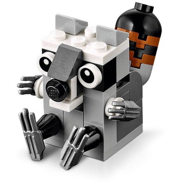 40240 Raccoon
