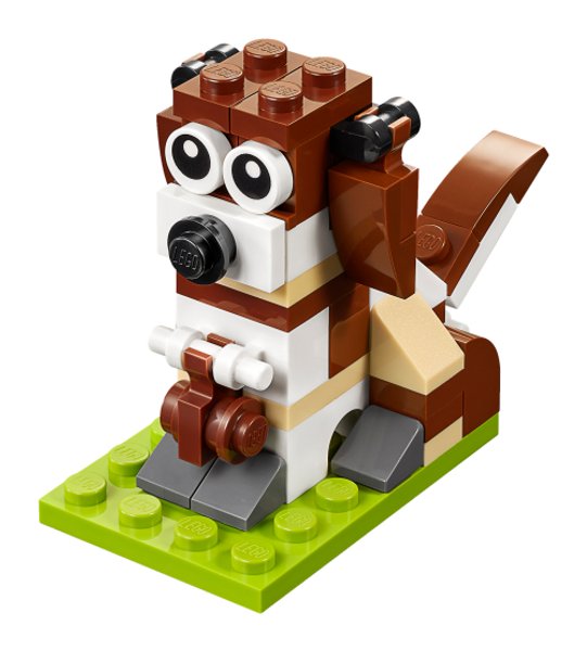 40249 St. Bernard Dog