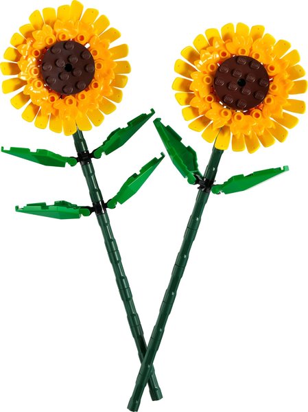 40524 Sunflowers