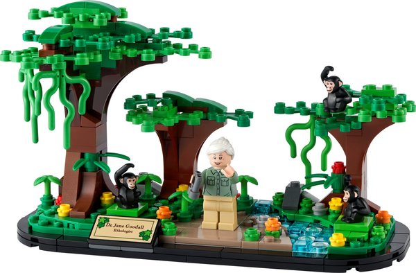 40530 Jane Goodall Tribute