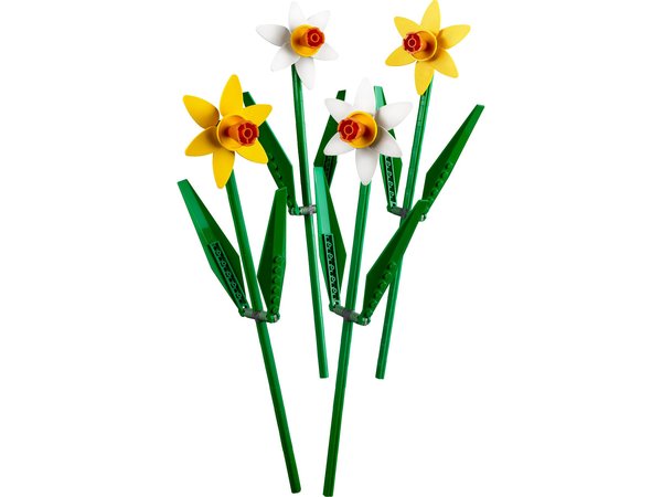 40646 Daffodils
