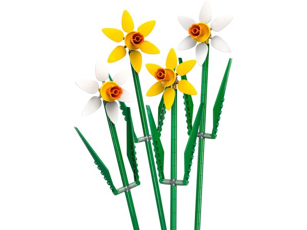 40747 Daffodils