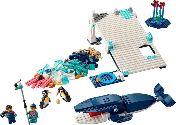 45201 Antarctic Animals Science Kit