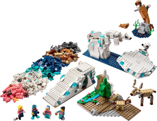45203 Arctic Animals Science Kit
