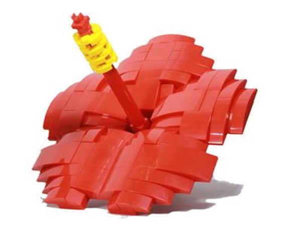 6218706 Malaysia: Bunga Raya