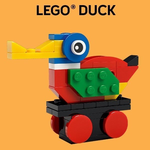 6611593 Duck