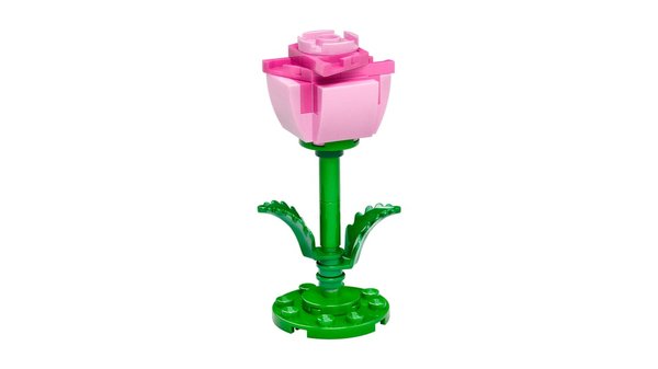 6614220 Micro Pink Rose