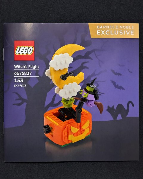 6675837 Witch's Flight