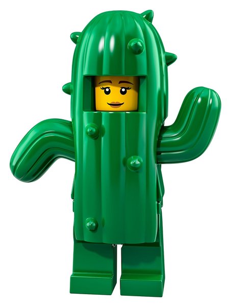 71021-11 Cactus Girl