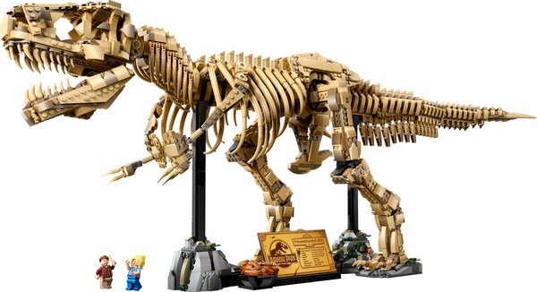 76968 Dinosaur Fossils: Tyrannosaurus Rex