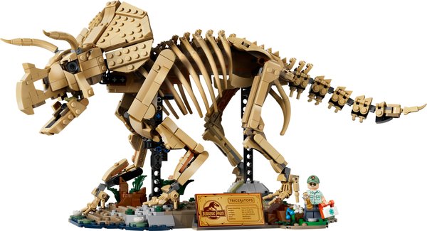 77985 Dinosaurier-Fossilien: Triceratops, Modellbau