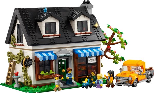 910050 Antique Shop