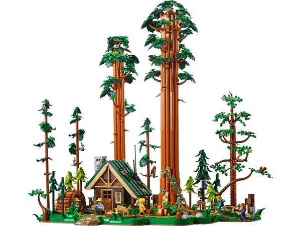 910058 Sequoia Tree Trail
