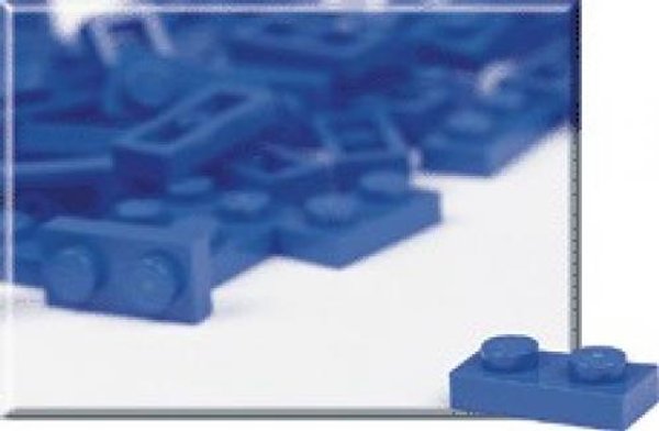 970009 1 x 2 Blue Plates (Pack of 100)