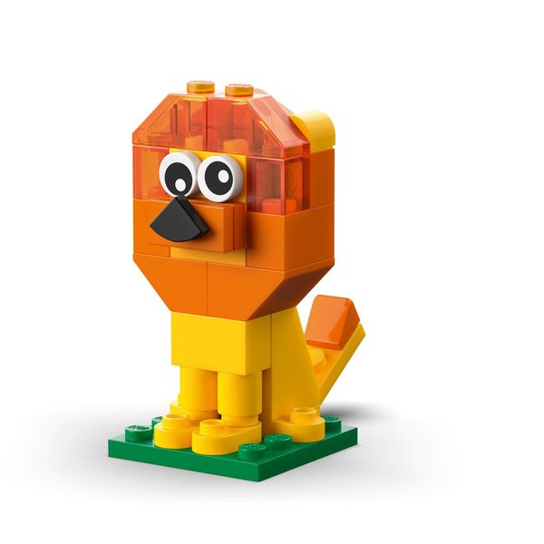 LION Lion