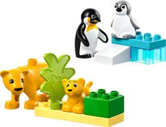 10442 Wildtier-Familien: Pinguine und Löwen