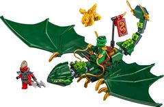 Lloyd's Green Forest Dragon
