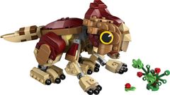 76970 Babydinosaurier Dolores: Aquilops