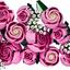 10374 s Rosa Rosenstrauß