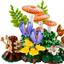 11505 Waldpilze