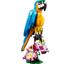 31136 Exotic Parrot