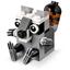 40240 Raccoon