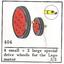 404-3 Wheels for Motor (The Building Toy)
