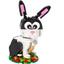 40575 Year of the Rabbit