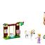 41065 Rapunzel's Best Day Ever