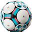 43019 Editions Fußball Modellbau mit Spielzeug Fußball