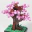 6291437 Sakura Tree