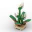 6614217 Micro Peace Lily