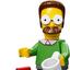 71005-7 Ned Flanders