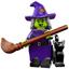 71010-4 Wacky Witch