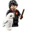 71022 Harry Potter