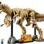 76968 Dinosaur Fossils: Tyrannosaurus Rex