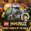 9781465420787 Ninjago: Secret World of the Ninja