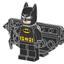 L0002325 Batman with Wings